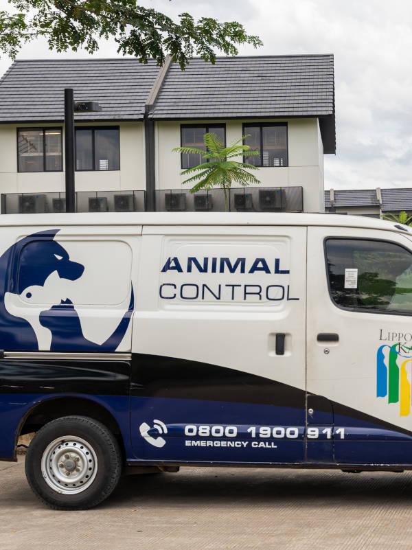 Animal Control